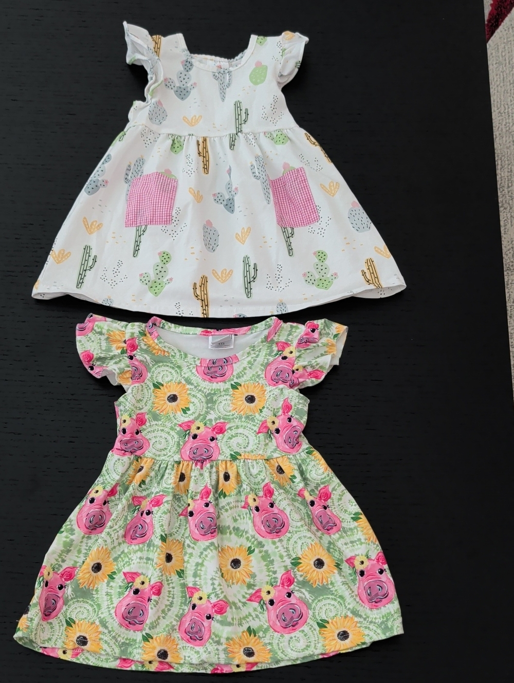 Like New 2 Twirl Dress Lot Stitchy Fish Desert Cactus Print Pig Sunflower 24M